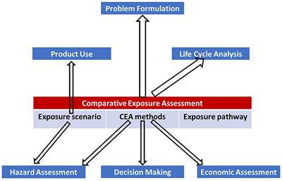 Enhancing the value of comparative exposure assessment in alternatives assessment